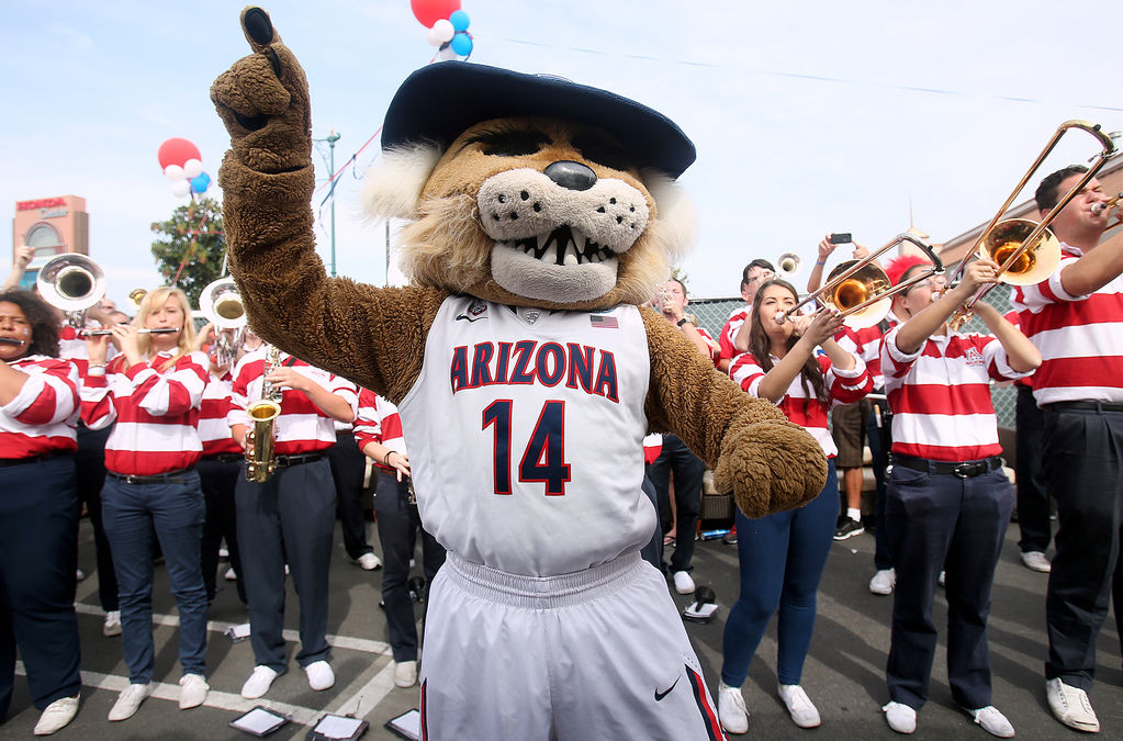 Wilbur T. Wildcat